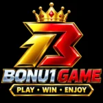 Bonu1 game